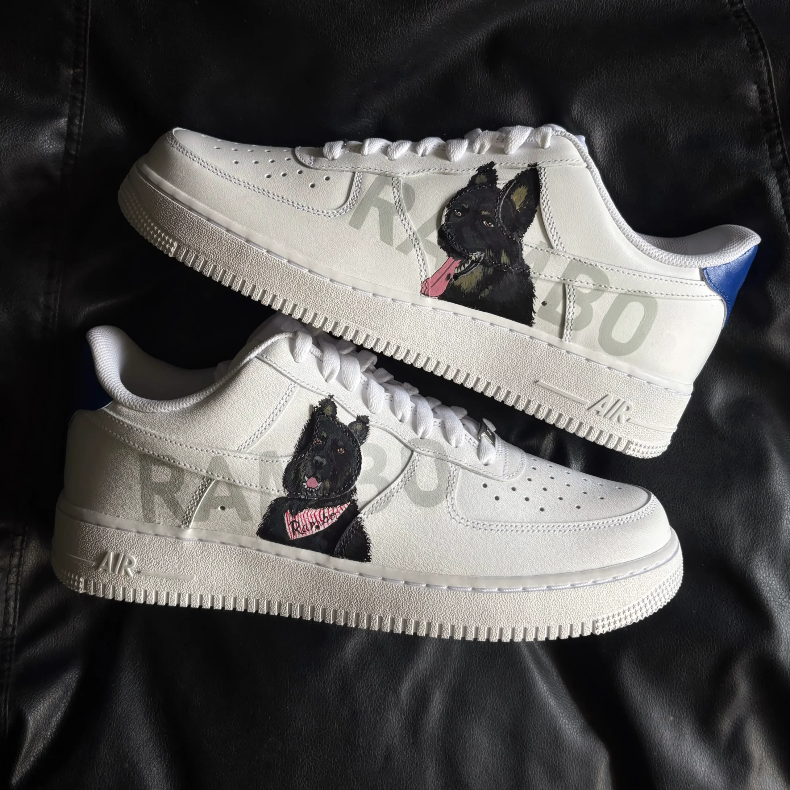 Pet Portrait Air Force 1 Custom