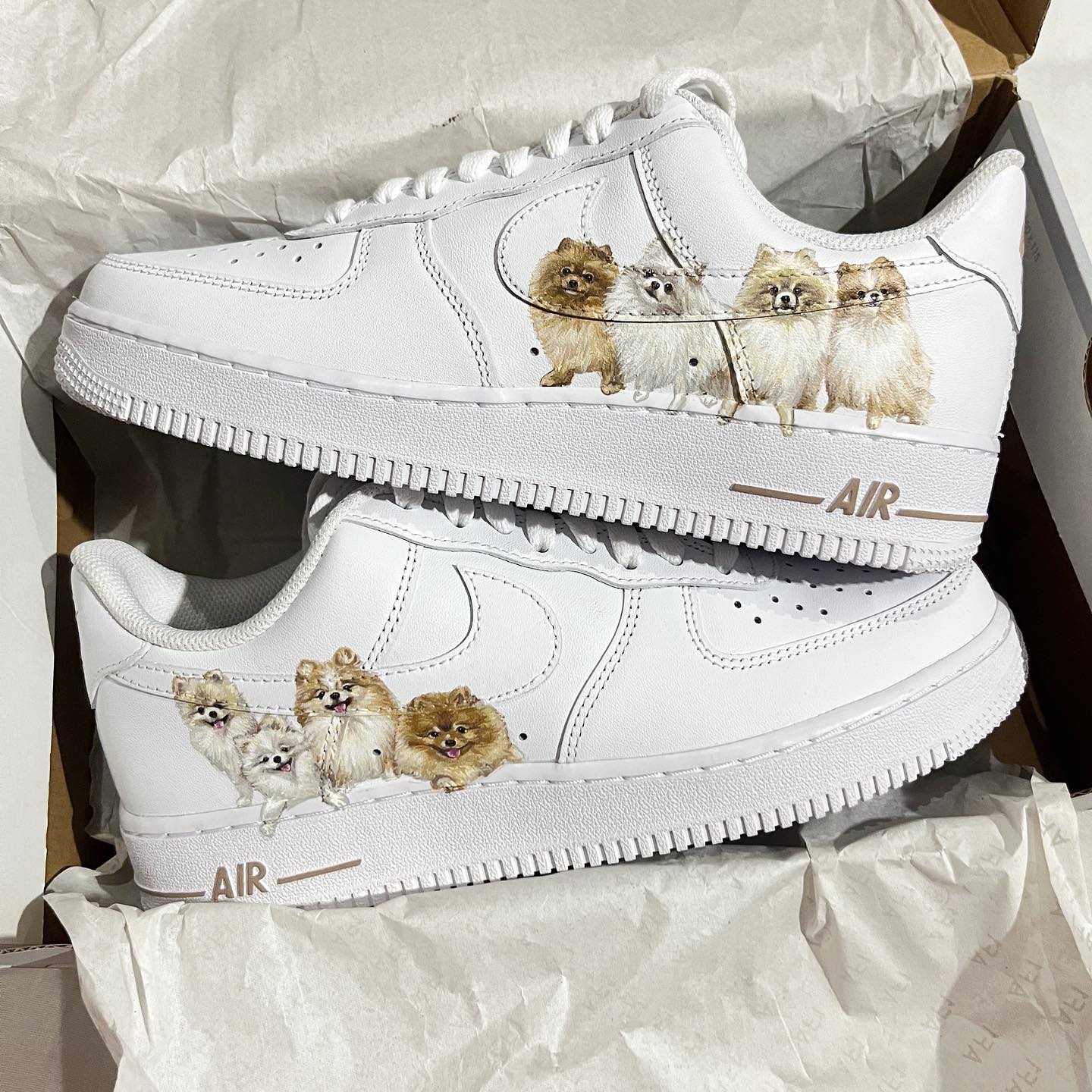 Pet Portrait Air Force 1 Custom