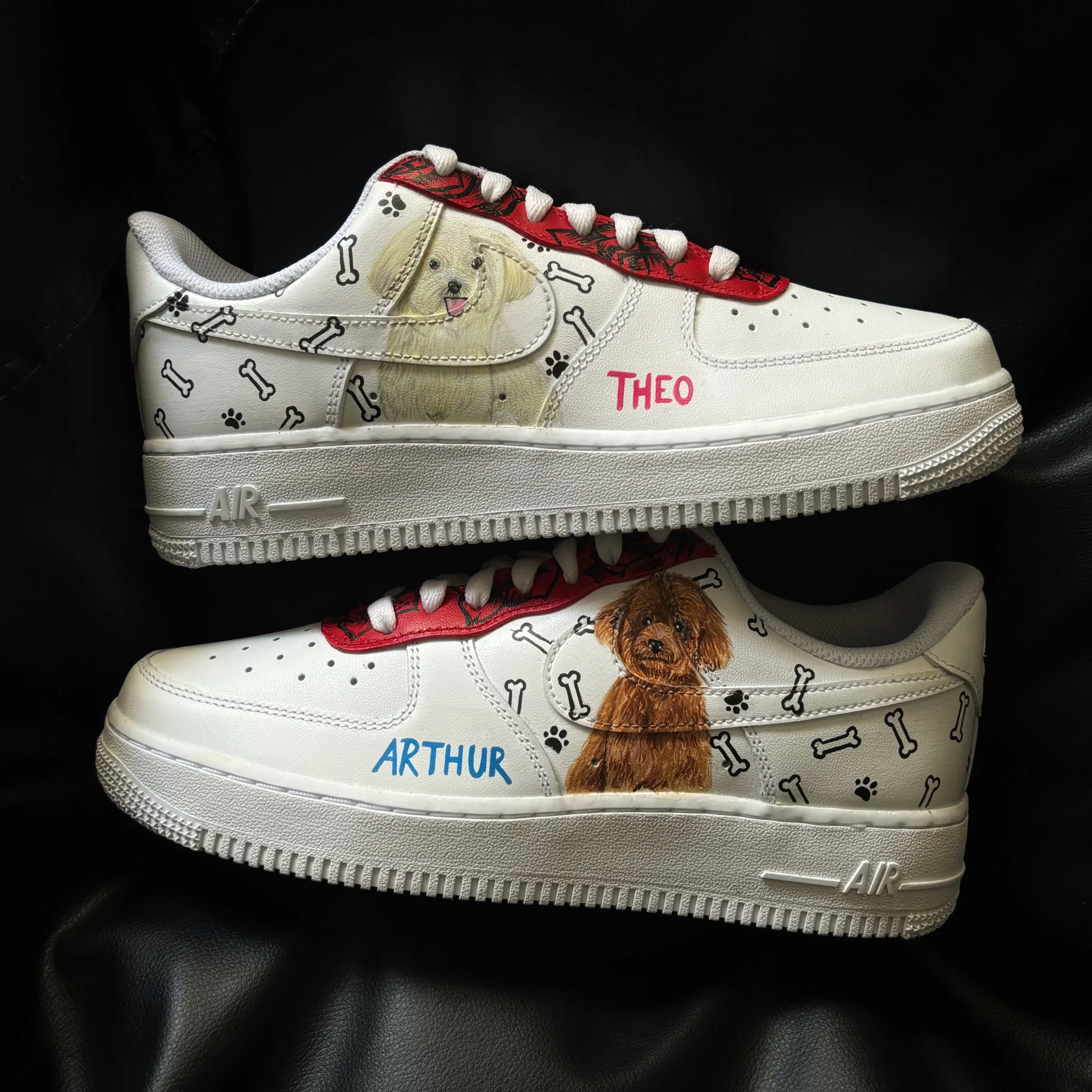 Pet Portrait Air Force 1 Custom